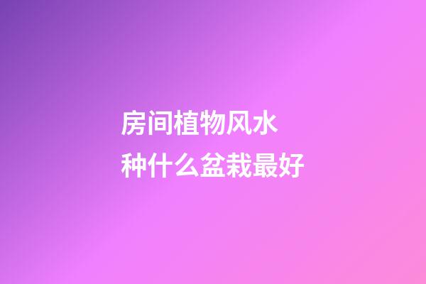 房间植物风水 种什么盆栽最好